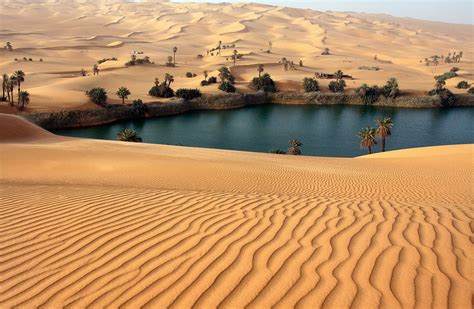 Namib Desert Dunes x All For Desktop | Desert oasis, Oasis, Beautiful nature