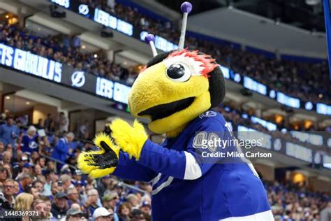 Tampa Bay Lightning Mascot Photos and Premium High Res Pictures - Getty ...