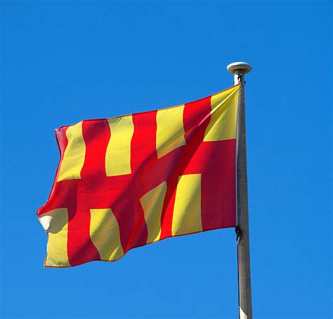 420+ Northumberland Flag Stock Photos, Pictures & Royalty-Free Images ...