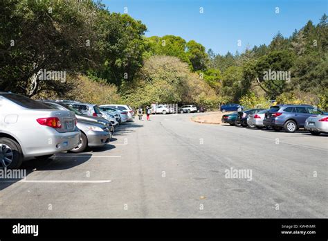 Cars are parked along both sides of the Muir Woods National Monument parking lot, Mill Valley ...