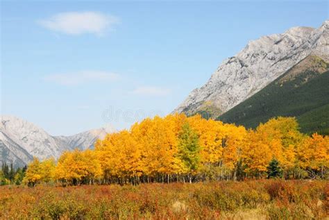 Rocky mountains landscape stock photo. Image of background - 7092550