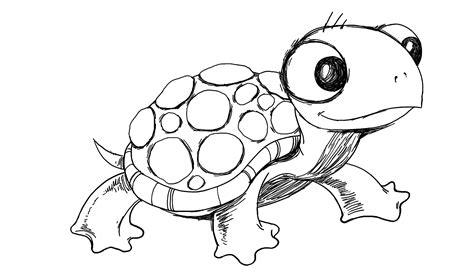 Turtle - Drawing Skill