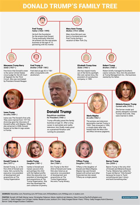 Donald Trump's family tree - Business Insider