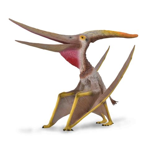 CollectA Pteranodon with Movable Jaw 88912