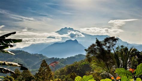 gunung kinabalu national park - Paul Peake