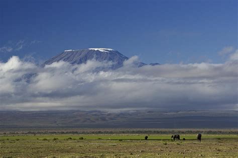 Kilimanjaro with Elephants Photograph by Michele Burgess - Fine Art America