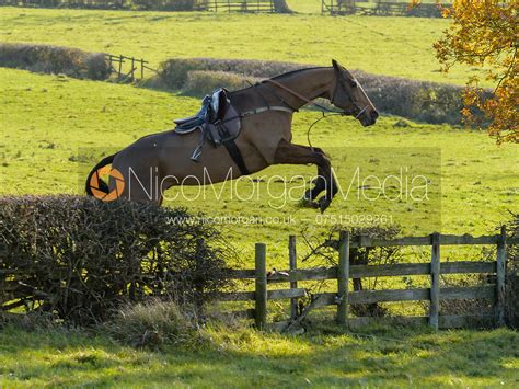 Nico Morgan Media | Loose horse jumping fence 7 - The Melton Hunt Club Ride | Oakham, Rutland ...