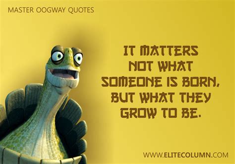 10 Super Inspiring Master Oogway Quotes | EliteColumn