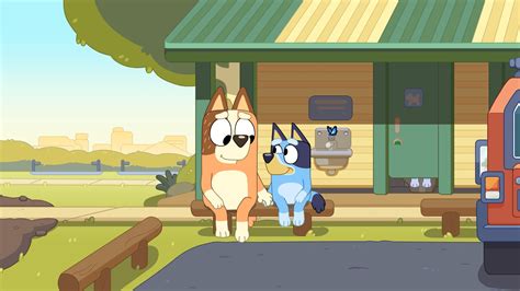 Press Releases- SPECIAL EXTENDED BLUEY EPISODE ANNOUNCED