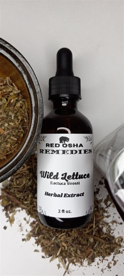 Wild Lettuce lactuca Virosa Herbal Tincture Extract - Etsy