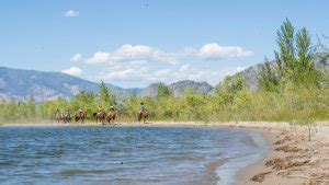 Osoyoos Camping: 10 Amazing Sites To Book Right Now!