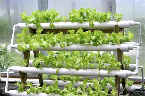 DIY Home Hydroponic Gardening Ideas - The Habitat