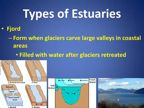 Estuary Formation Diagram