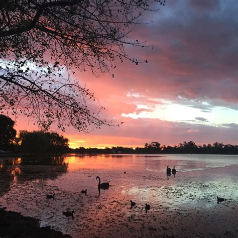 The best of Ballarat - MELBOURNE GIRL