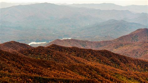 Fall colors: Photographers explore East Tennessee's autumn landscape