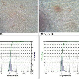 Microscopic image of nanoemulsion with particle size distribution (a ...