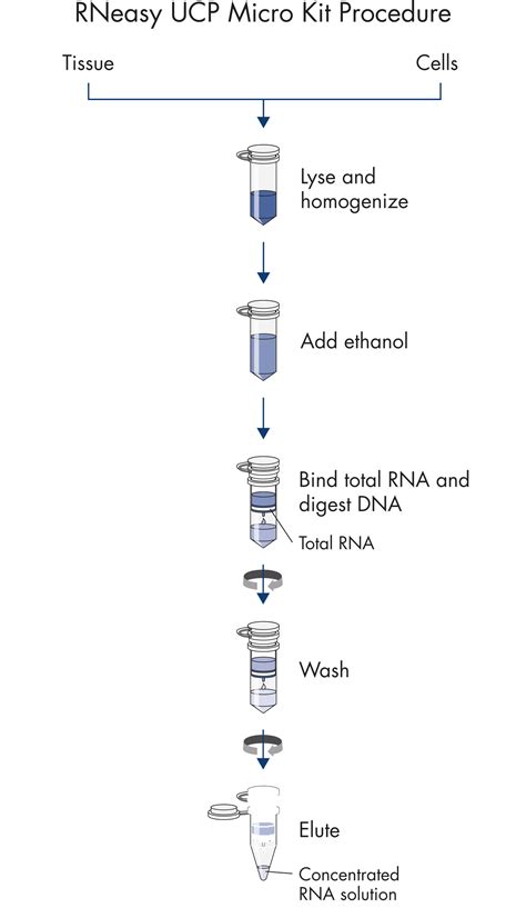 RNeasy UCP Micro Kit