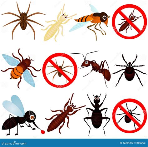 Anti Bugs (mosquito, Termite, Ant, Etc) Stock Vector - Illustration of ...