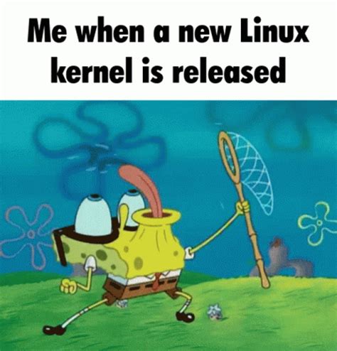 Spongebob Linux Meme GIF | GIFDB.com