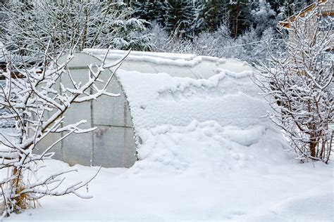 Winter Greenhouse Gardening: Growing Plants Through Winter In A Greenhouse