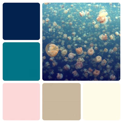 Coral And Teal Color Scheme / The first written use of coral as a color name in english was in 1513.