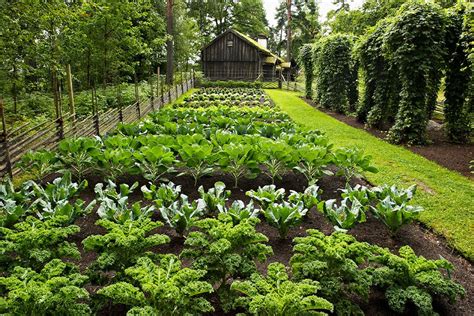 Garten & Terrasse - [SCHÖNER WOHNEN]