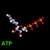 Atp GIF - Find & Share on GIPHY