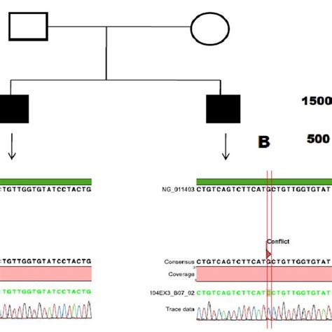 (PDF) Mutation Screening of the Factor VIII Gene in Hemophilia A in Saudi Arabia: Two Novel ...