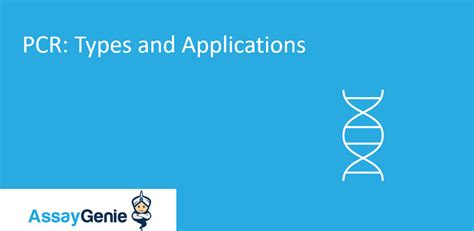 PCR : Types and Applications - Assay Genie