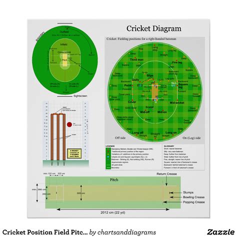 Cricket Field Dimensions Layout