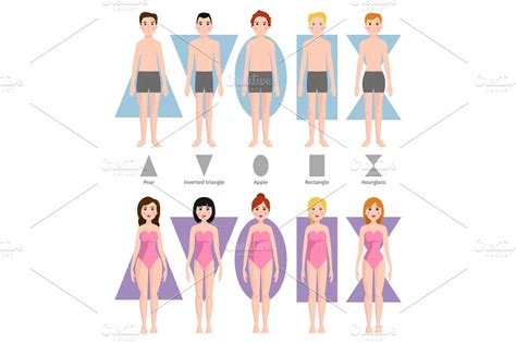 Vector illustration of different body shape types. | Custom-Designed Illustrations ~ Creative Market