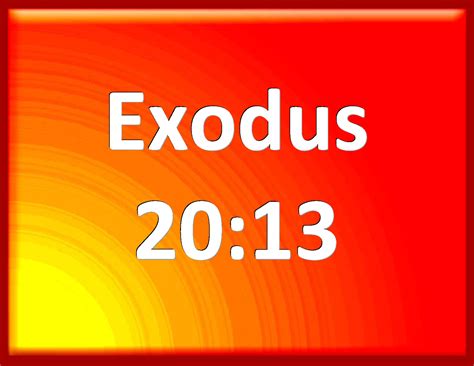 Exodus 20:13 You shall not kill.