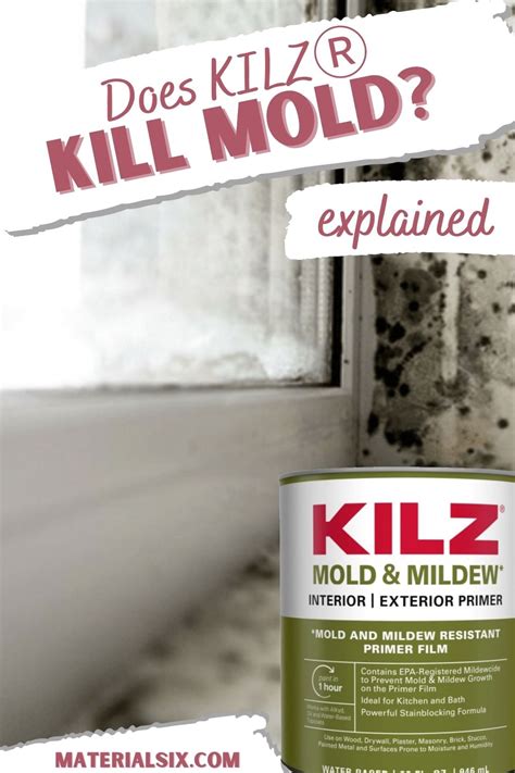 Does KILZ Kill Mold and Mildew? (Explained) - MaterialSix