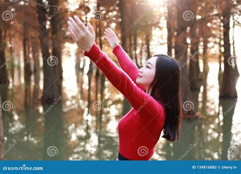 Freedom Happy Woman Feeling Free in Autumn Nature Air Stock Photo ...