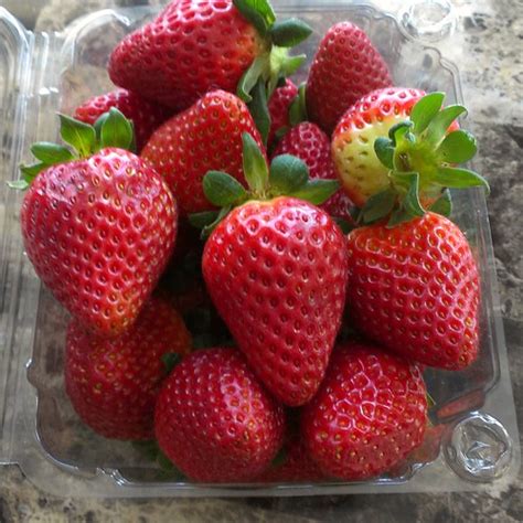 Strawberries | Capitola, California | Henry Zbyszynski | Flickr