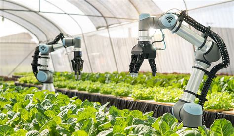 The Future of Agriculture is in Smart Farming | GMO Research