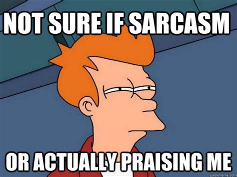 Not sure if sarcasm or actually praising me - Futurama Fry - quickmeme