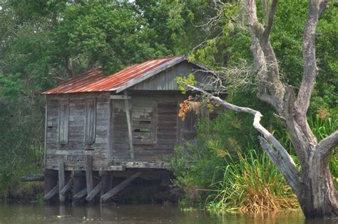 Pin by John Michael on Alternative Living | Louisiana bayou, Louisiana ...