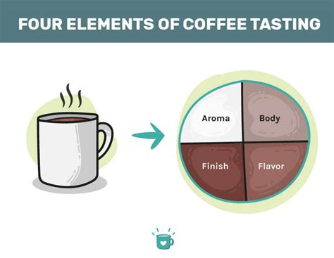 Coffee Tasting Notes and Flavors Explained