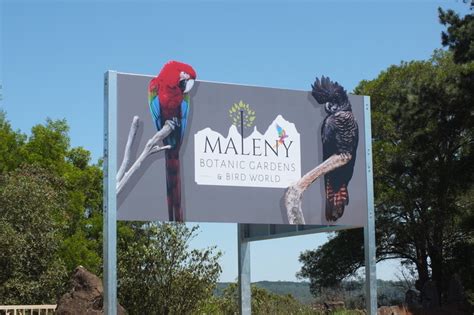 Maleny Botanic Gardens and Bird World - Sunshine Coast