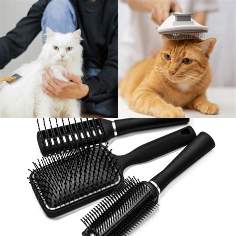 The Best Cat Brushes For Long Hair – A Comprehensive Review