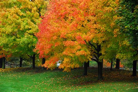 Best Places for Fall Colours in Ontario