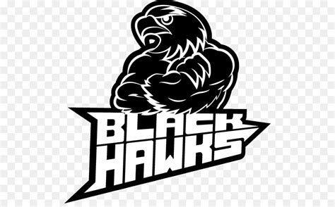 Chicago Blackhawks Logo