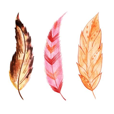 Premium Vector | Beautiful watercolor feather collection