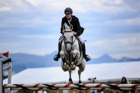 How to Train A Horse to Jump : With Simple 5 Steps - Tail and Fur