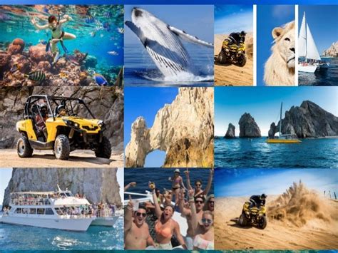 Los Cabos Activities Tours | Adventures Tours & Cabo Attractions