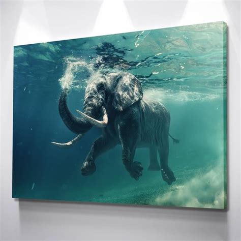 Elephant_Swimming_1pawhite_copy_2000x_grande_b1d4d08b-1dc4-4ee7-9106-d59d2011c52c_1200x1200.jpg ...