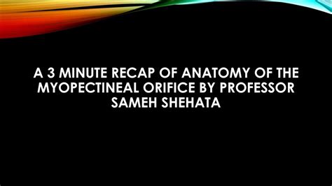 A 3 minute recap of anatomy of the myopectineal orifice & clinical ...