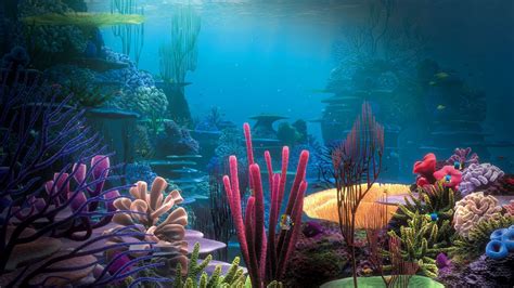 27 Aquarium Wallpapers - Wallpaperboat