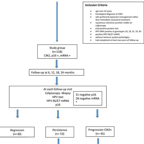 Flow diagram and final outcome of CIN2 patients. *During the 24-month ...